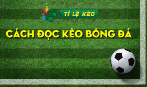 cách đọc kèo bóng đá