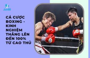 cá cược boxing