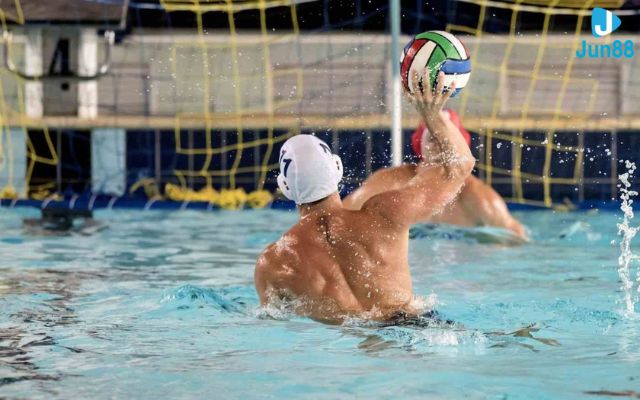 cá cược water polo