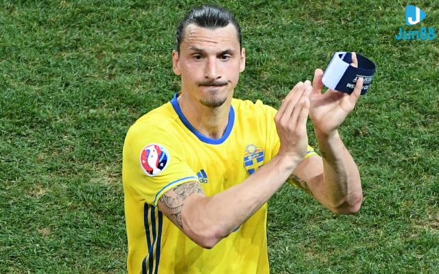 Ibrahimović và bóng đá chuyên nghiệp