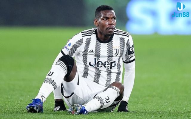 Danh hiệu và thành tích của Paul Pogba đạt được trong sự nghiệp