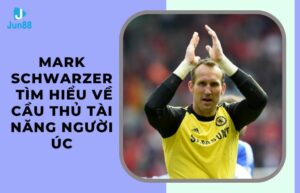 Mark Schwarzer