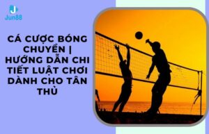 cá cược bóng chuyền