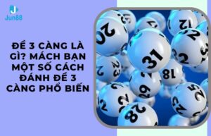 Đề 3 càng là gì